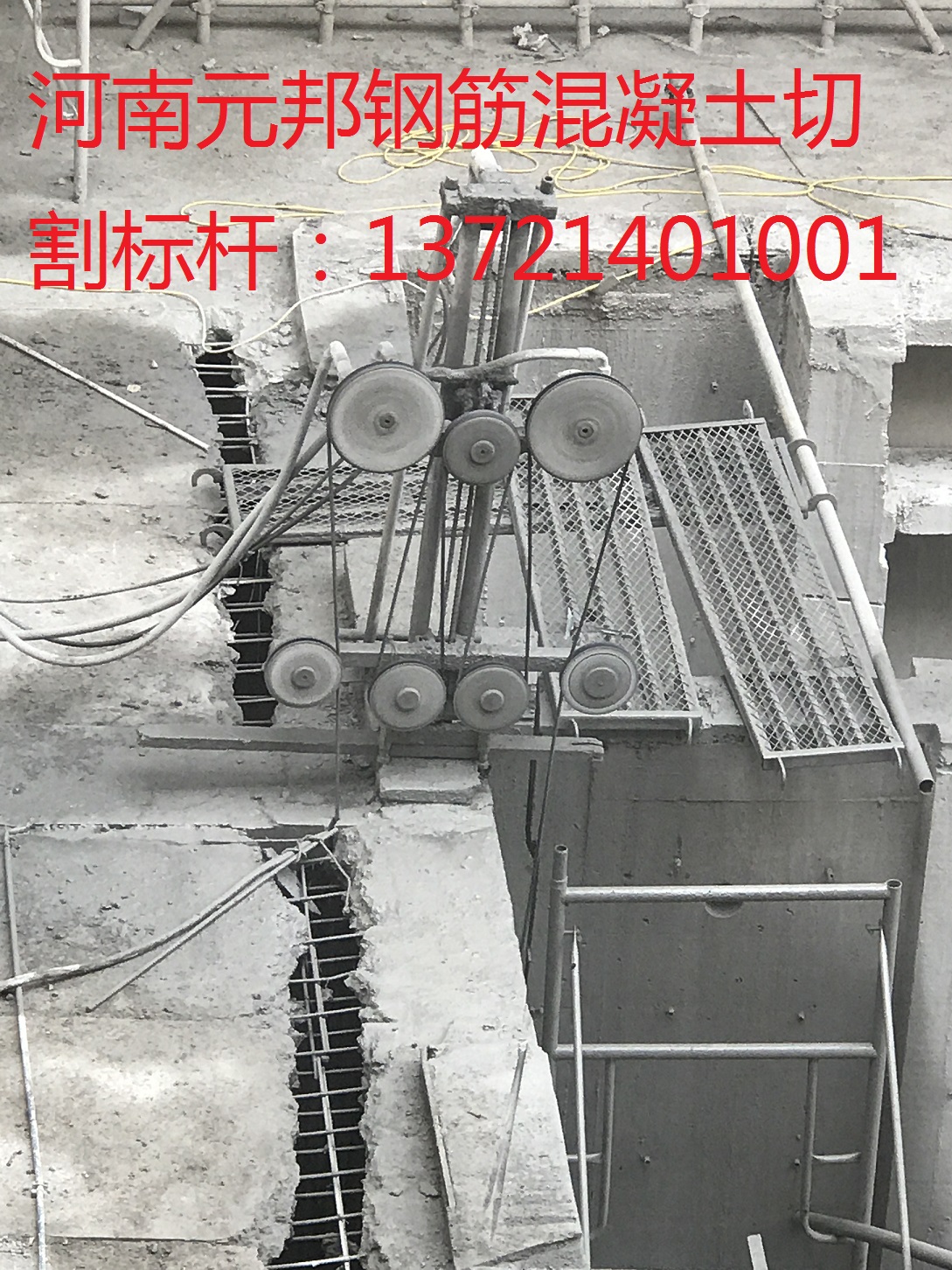 1551770681329909.jpg 1切.jpg