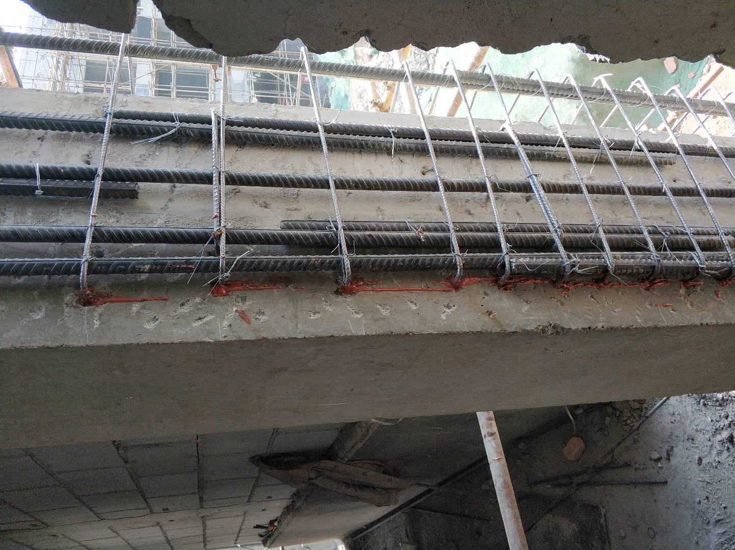 1593477595606669.jpg IMG_20190405_144744_1557921514198.jpg