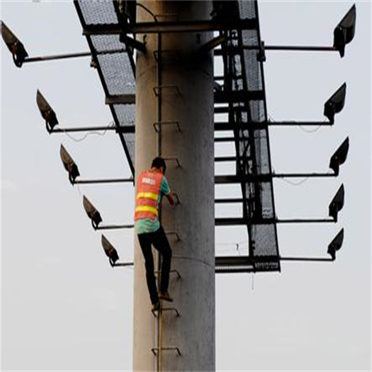 1678779636718466.jpg 10ec50c451da81cbdbe521784566d01608243183.jpg